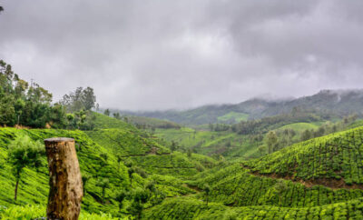 Discover Wayanad: Kerala’s Hidden Gem in the Hills